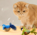Brinquedo Interativo de Pássaros para Gatos – Diversão e Caça Indoor