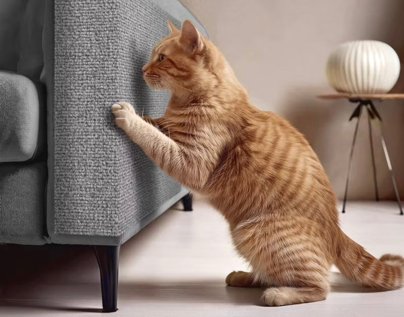 Protetor Antiarranhões para Sofá — Tapete Adesivo Recortável para Gatos | Protege Móveis, Paredes e Cantos