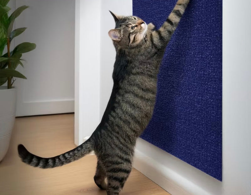Protetor Antiarranhões para Sofá — Tapete Adesivo Recortável para Gatos | Protege Móveis, Paredes e Cantos