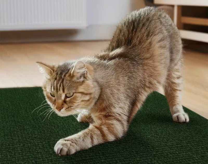 Protetor Antiarranhões para Sofá — Tapete Adesivo Recortável para Gatos | Protege Móveis, Paredes e Cantos